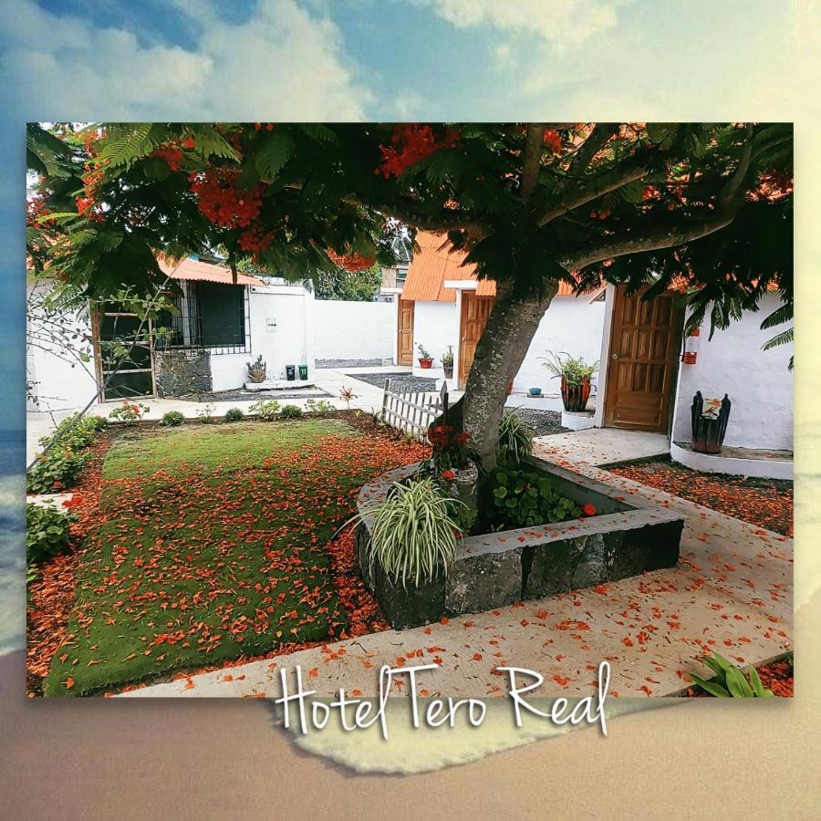 פורטו וילאמיל Hostal Tero Real מראה חיצוני תמונה